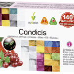 CANDICIS