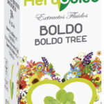 EXTRACTO BOLDO