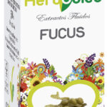 EXTRACTO FUCUS