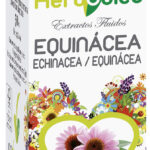 EXTRACTO ECHINÁCEA