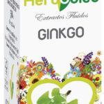 EXTRACTO GINKGO BILOBA